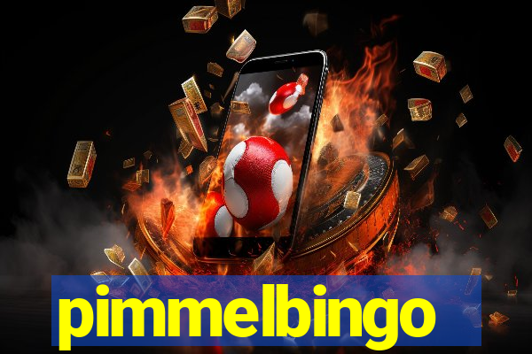 pimmelbingo