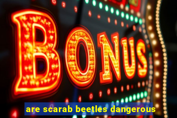 are scarab beetles dangerous