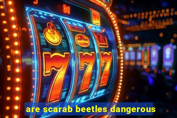 are scarab beetles dangerous