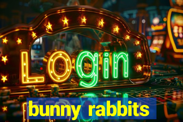 bunny rabbits