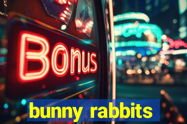 bunny rabbits