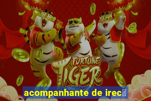 acompanhante de irec锚