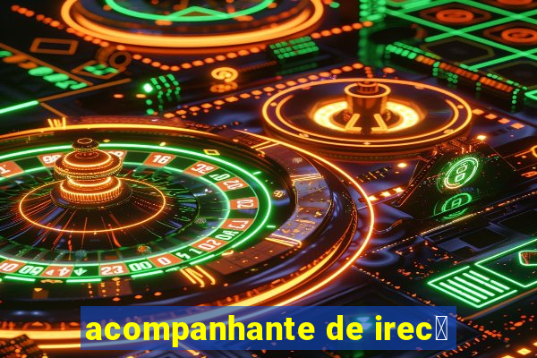 acompanhante de irec锚