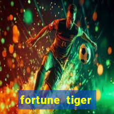 fortune tiger plataforma nova