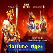 fortune tiger funciona mesmo