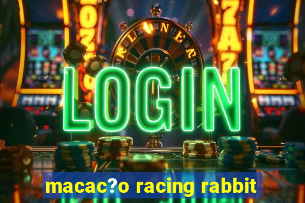 macac?o racing rabbit