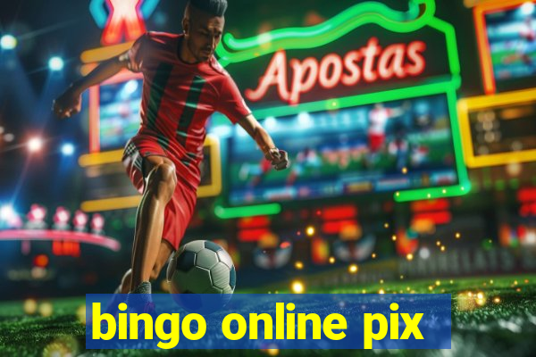 bingo online pix