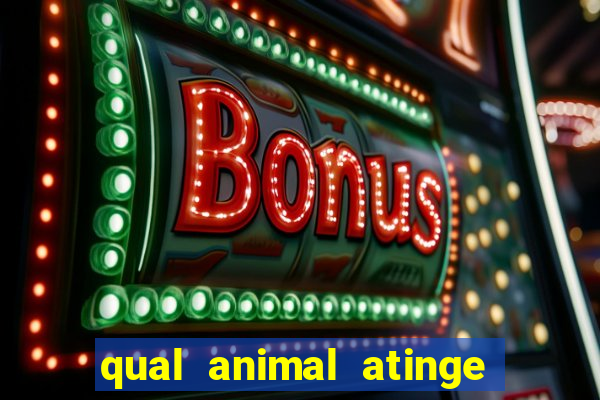 qual animal atinge 230 decibeis