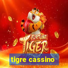 tigre cassino