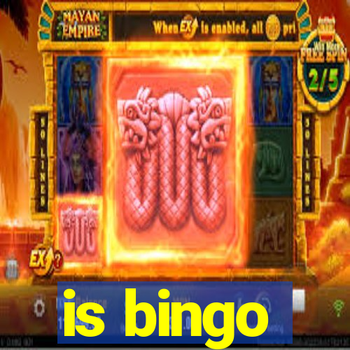 is bingo