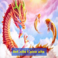 linf贸cito t铆pico alto