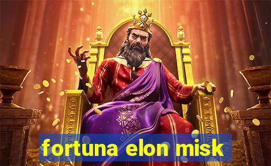 fortuna elon misk