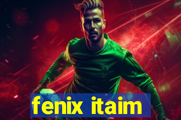 fenix itaim