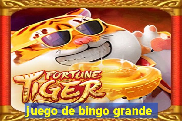 juego de bingo grande