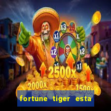 fortune tiger esta pagando hoje