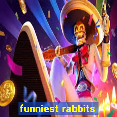 funniest rabbits