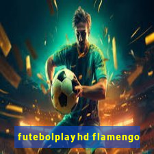 futebolplayhd flamengo