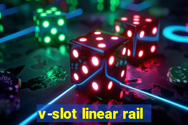 v-slot linear rail