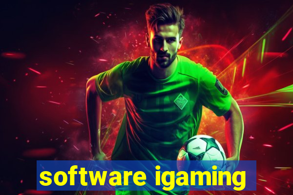 software igaming