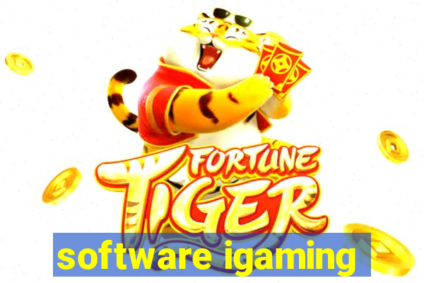 software igaming