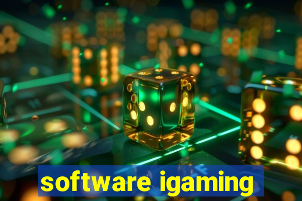 software igaming