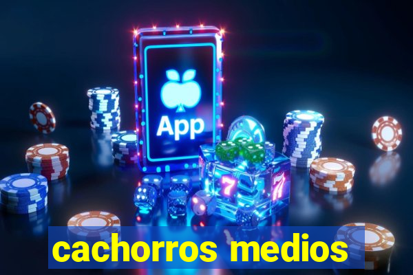 cachorros medios