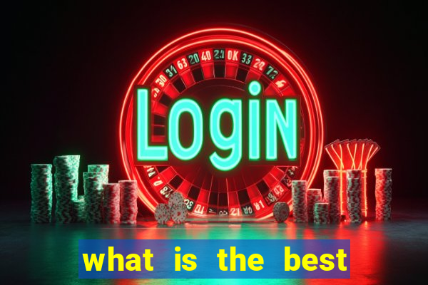 what is the best bingo site