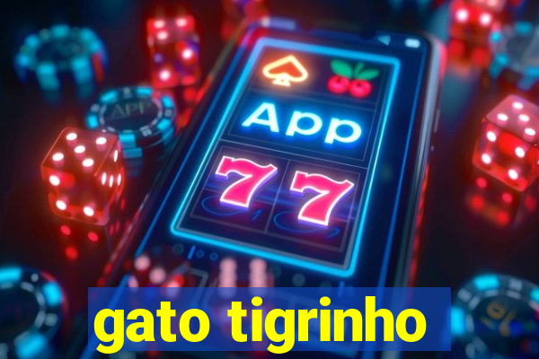 gato tigrinho