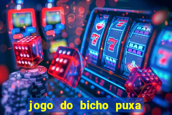 jogo do bicho puxa de dona maria