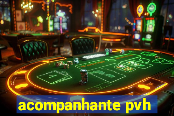 acompanhante pvh