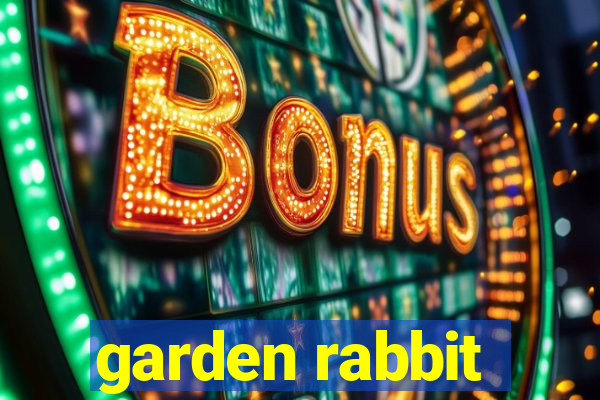 garden rabbit