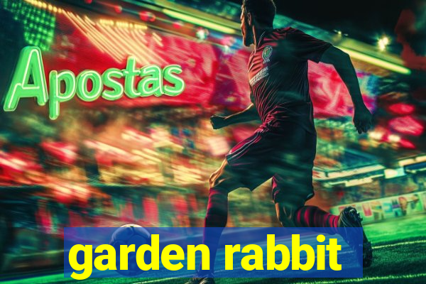 garden rabbit