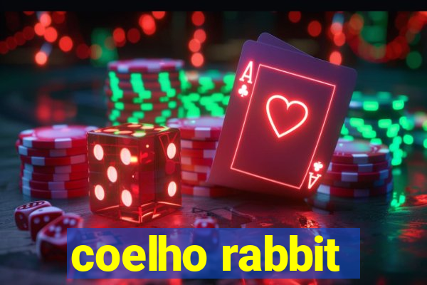 coelho rabbit