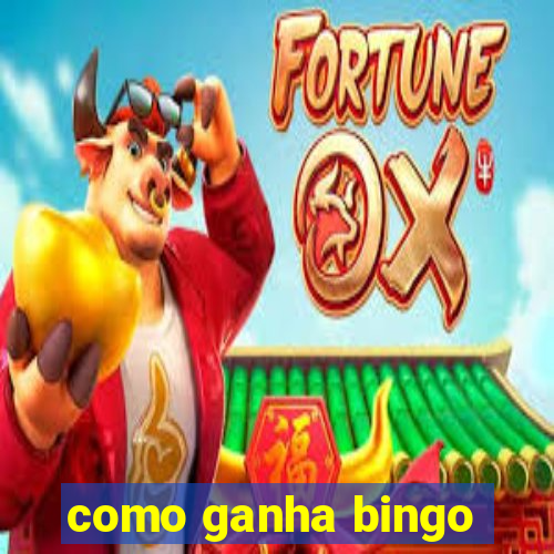 como ganha bingo