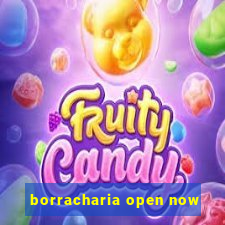 borracharia open now