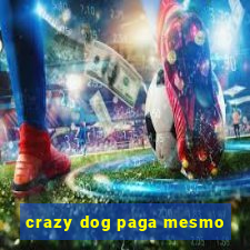 crazy dog paga mesmo