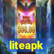 liteapk