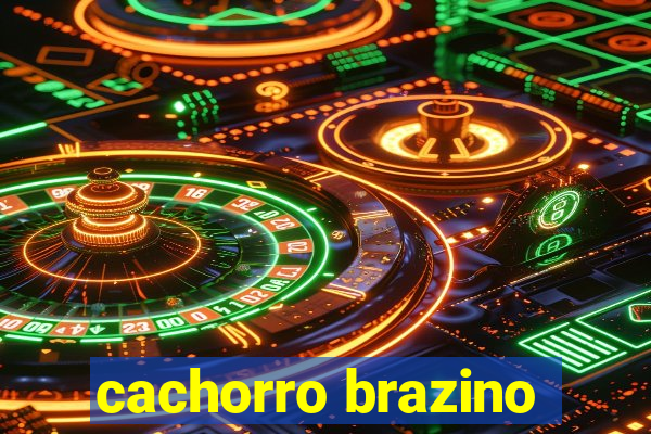 cachorro brazino