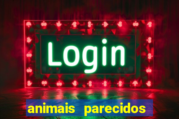 animais parecidos com lontra