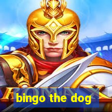 bingo the dog