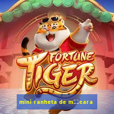 mini ranheta de m璋﹕cara