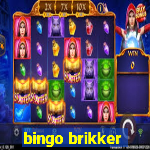 bingo brikker