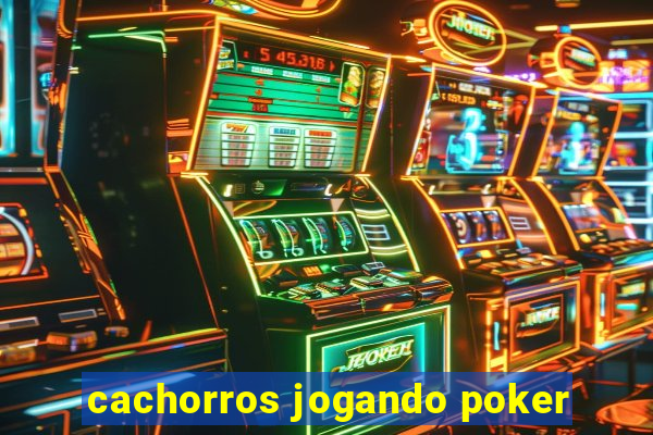 cachorros jogando poker