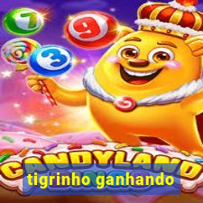 tigrinho ganhando