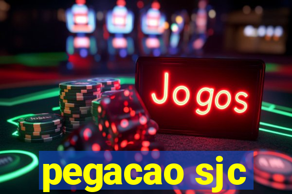 pegacao sjc