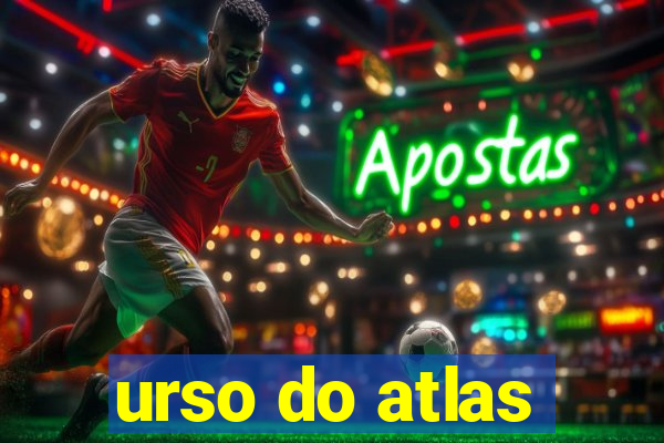 urso do atlas