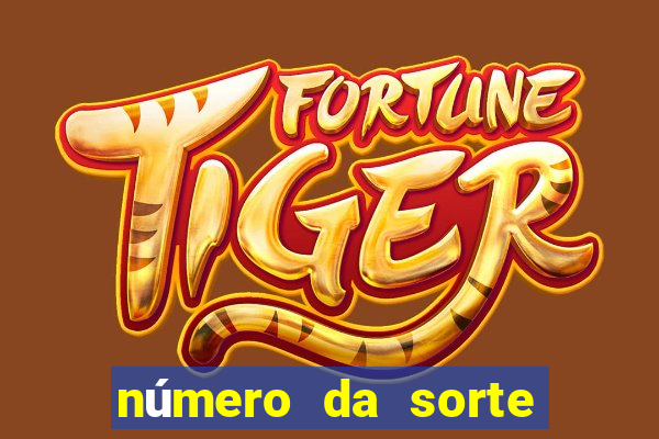 número da sorte libra hoje jogo do bicho