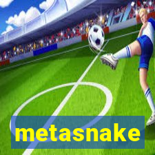 metasnake