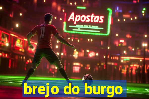 brejo do burgo