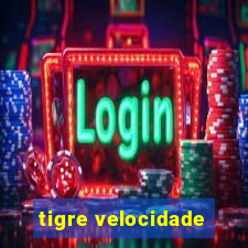 tigre velocidade